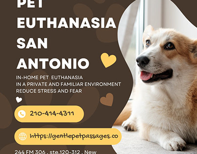 Pet Euthanasia Specialists: A Guide for Pet Owner