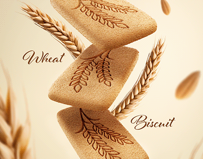 3D Wheat Biscuit
