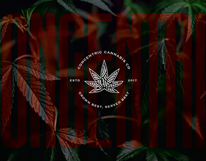 Project thumbnail - Concentric Cannabis Co. - Branding Design