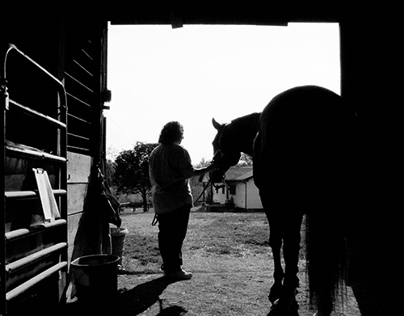 A Kentucky Horse Barn