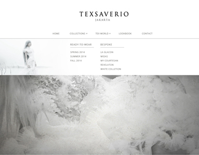 Tex Saverio Web Design