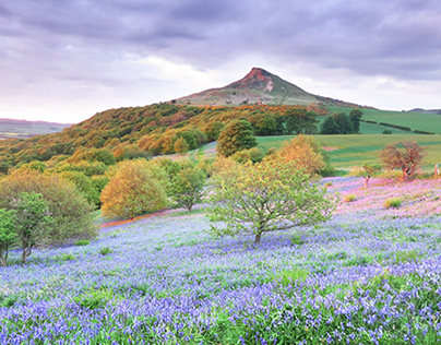 Roseberry Topping, North Yorkshire, Best Photos & Walks