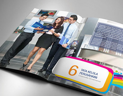 [MSKY] Annual Report 2013