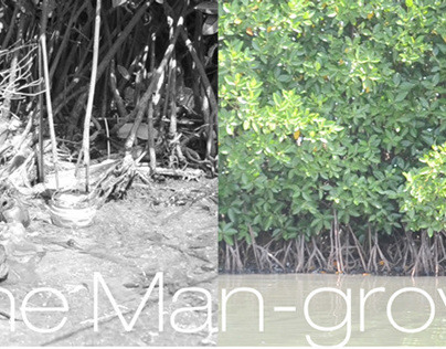 The Man-grove
