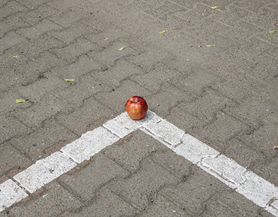 Small apple in city (on south of Poland) | notes