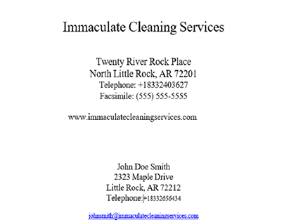 Business Plan Writing on Immaculate Cleaning Services