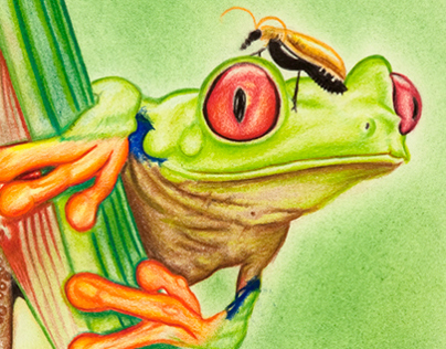 "Tree Frog" 9x12" work