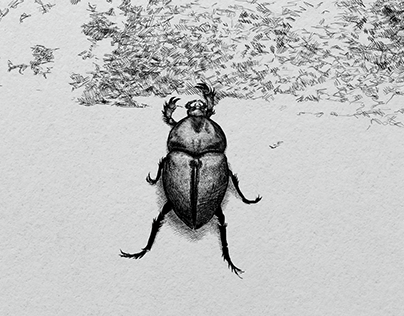 Project thumbnail - Editorial commission "Beetle"