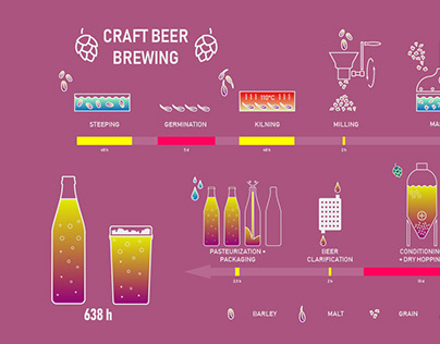 Craft beer infographic