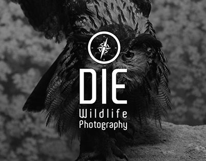 DIE Wildlife Photography
