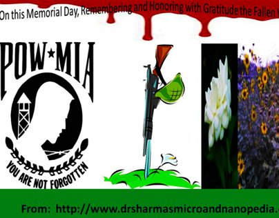 Memorial Day Remembrances