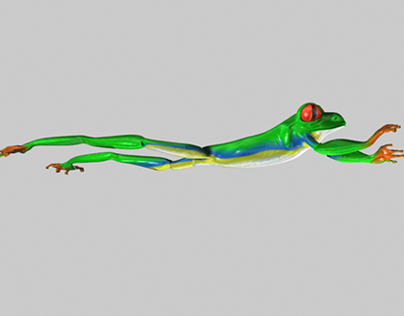 Tree Frog Organic Model Render w/ Autodesk Maya 2014