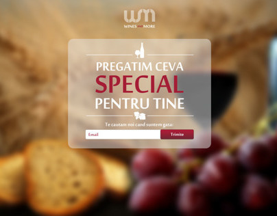 Landing Page - Wines and More