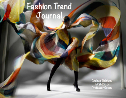 Fashion Trend Journals