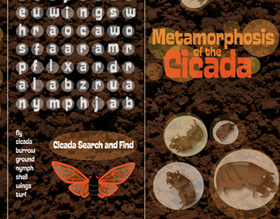 Educational Cicada Brochure for Kids