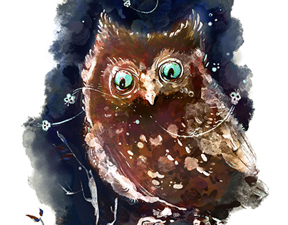 Owl, 2023