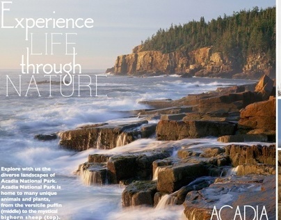 Acadia National Park Campaign