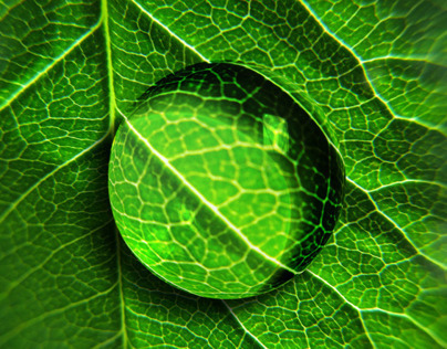 Chlorophyll iPhone Theme 