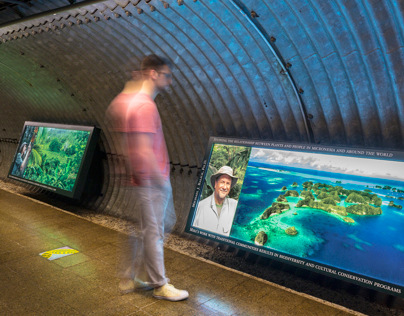Enid Haupt Conservatory Tunnel Exhibit