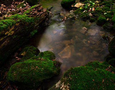 Idlewild State Park