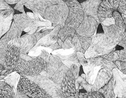 A Pile of Foxes Ink Drawing