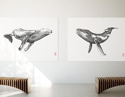 Black & White Art Humpbackwhale-Series