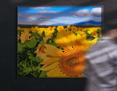 Sunflower - Photo Painting Practice