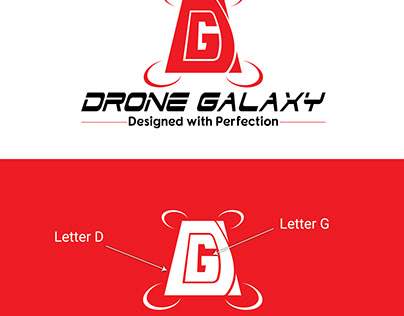 Drone Galaxy Logo Design Project