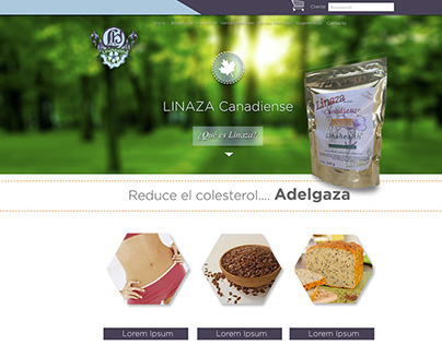 Home WEB Linaza Healt
