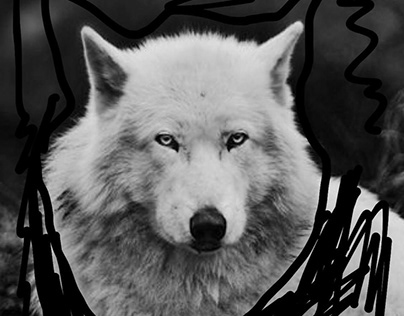 Wolf Pack Logistics Logo/cards