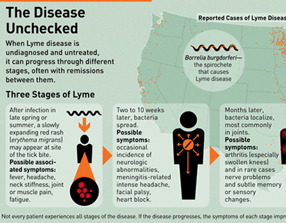 Lyme disease infographic for Proto