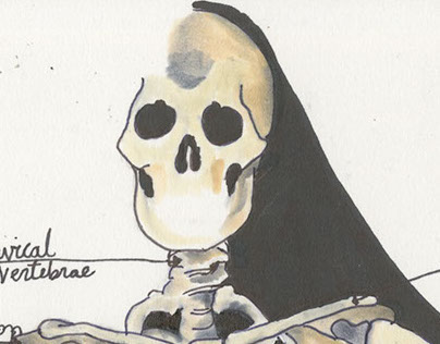 Skeleton Anatomy