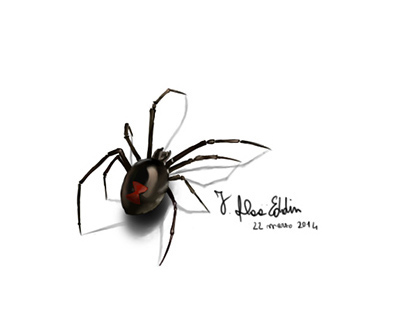 Black Widow (Spider) 3D