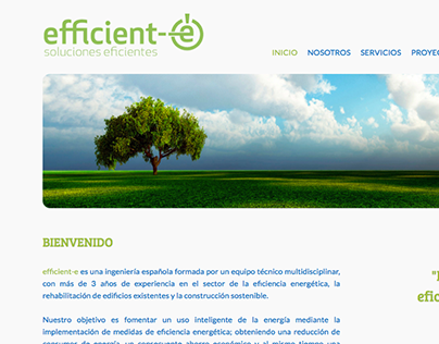 Efficient-e Website