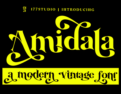 Free Font - Amidala Serif Font