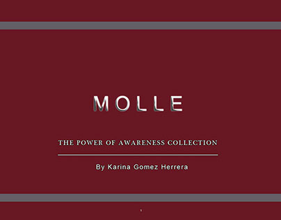 THESIS PROJECT "MOLLE"