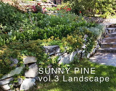 Sunny Pine. vol.3 Landscape