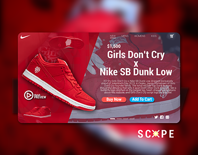 Nike Sneaker Web Ad CONCEPT