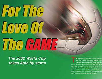 2002 World Cup Article