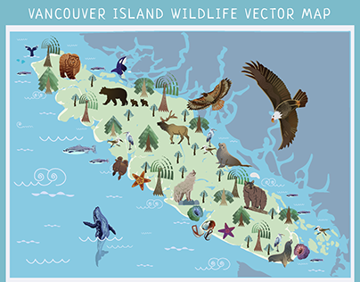 Vancouver island wildlife
