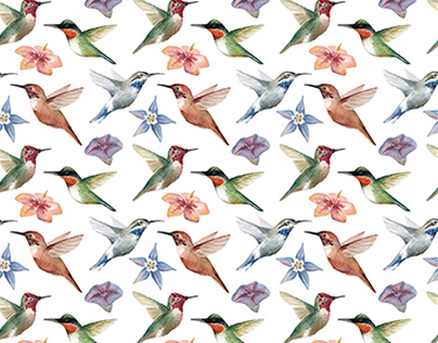 Joyful Hummingbird Collection