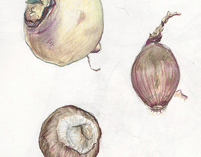 Turnip | Union | Mushroom