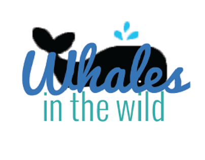 Whales in the Wild Logo