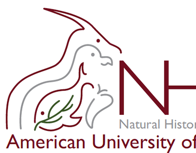 Rebranding the AUB Natural History Museum