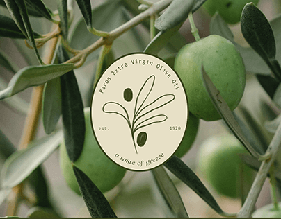 Brand Identity Project Overview: Paro's Olive Oil