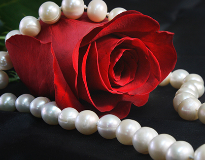 Pearls and Rose