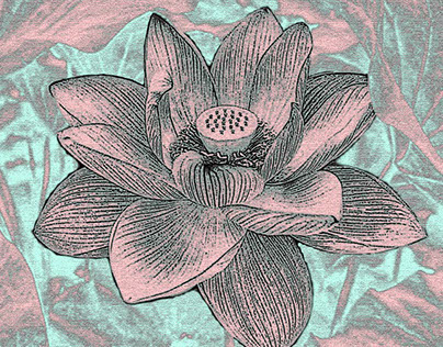 Images created for Lotus Design Studio