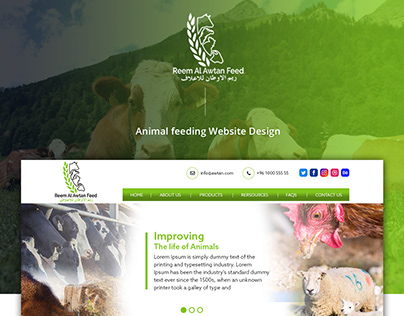 Animal Feeding Website Design