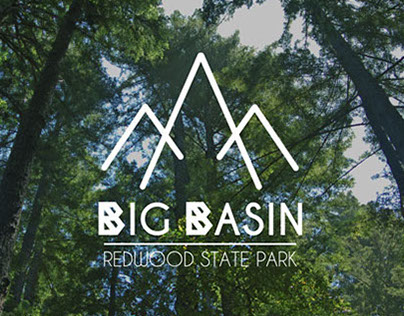 Big Basin: Website Design