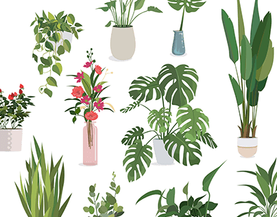 Vector plants illustrations